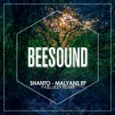 Shanto - What You Do To Me (Original Mix)