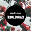 Noetic Curve - Primal Contact (Frondorf Remix)