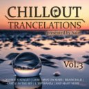Nale - Dream Of The Dolphin (Chillout Trancelations Version)