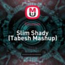 Eminem - Slim Shady