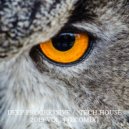 ecoMix - Deep Progressive / Tech House 2019 Vol.4 ()