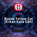 Pawsa - Bodak Yellow Cat (Erkan Kara Edit)