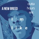 outtahours - Im Like ()