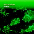 FIDELIZ & Derek Olds - You and Me ()