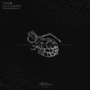 TAEM - Raspberry (Original Mix)