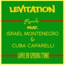 Levitation Records - Love In Springtime (feat. Israel Montenegro & Cuba Caparelli)
