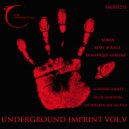 Scanner Darkly - Undue Influence