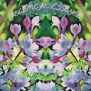 ALCEMICAL ESSENCE - Mantra 100