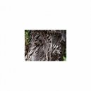 Mindfulness Healing Bgm Project - Garnet & Coping Skills