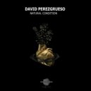 David Perezgrueso - El Sendero Loco