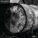 Heerhorst - Substance