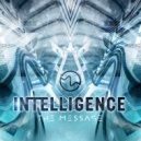 Intelligence - The Message (Original Mix)