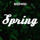 BigMag - Spring mix (2020) ()