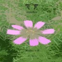 Madame M - Serious Groove