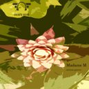 Madame M - Serious Groove