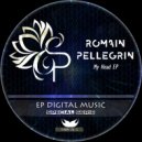 Romain Pellegrin - Acouphene