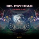 Dr. Psyhead - Behind The Veil Of Illusion
