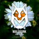 Max d'Funk - The Realm
