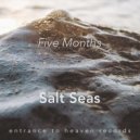 Five Months - Salt Seas (Original Mix)