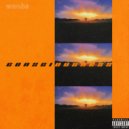 WANBS - Consciousness