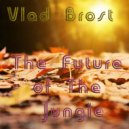 Vlad Brost - Slict Food (Original Mix)