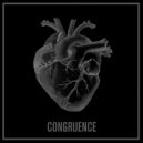 Teitelbaum - Congruence (Original Mix)