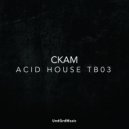 Ckam - Acid House TB03 (Original Mix)