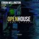 Erron Wellington - Your Voice (Original Mix)