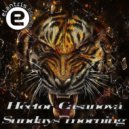 Héctor Casanova - Sundays Morning (Original Mix)