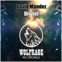 David Mandez - Driviel