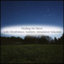 Mindfulness Auditory Stimulation Selection - Rubens & Attraction (Original Mix)