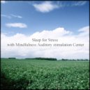 Mindfulness Auditory Stimulation Center - Speed & Peace of Mind