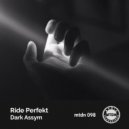 Ride Perfekt - Tribal Sync