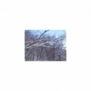 Mindfulness Healing BGM Project - Sunset & Stress Free