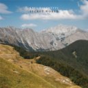 Luca Bacchetti - Navajo Blues