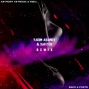 Anthony Keyrouz, Riell - Back & Forth (Vadim Adamov & Safiter remix)