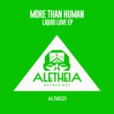 More Than Human - Fracture (Original Mix)