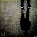 Dionigi - Reflection