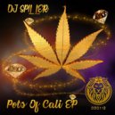 DJ Spiller - Pots Of Cali (Original Mix)