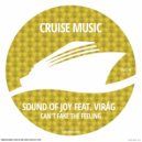 Sound Of Joy, Virág - Can\'t Fake The Feeling (Souxsoul Instrumental Mix)
