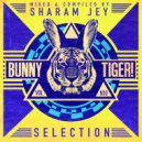Sharam Jey - Here I Come