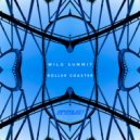 AWILD - Roller Coaster