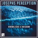 Josephs Perception - Wisdom