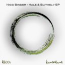 Nico Binder - Hale (Original Mix)