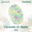 Vertigo, Mr. Nobody - Colours of Being (Original Mix)