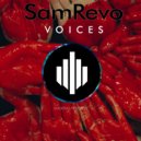 Sam Revo - Voices (Original Mix)