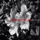 Lefthandsoundsystem - Ongriza Drum