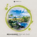 Reza Golroo - Drive Me Crazy