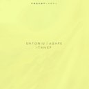 Entoniu & Agape - Gallo (Original Mix)