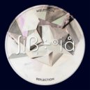 Meleshkin - Reflection